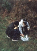 Unknown3
