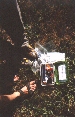 Unknown12