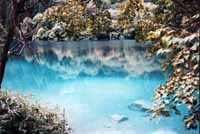 sch0106.jpg (15500 �Ӧ줸��)