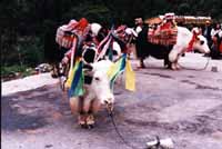 sch0110.jpg (14293 �Ӧ줸��)