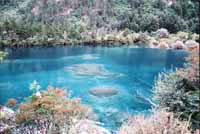 sch0111.jpg (14695 �Ӧ줸��)