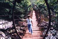 s-sa013.jpg (17075 �Ӧ줸��)