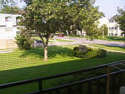 DCP_0031.JPG