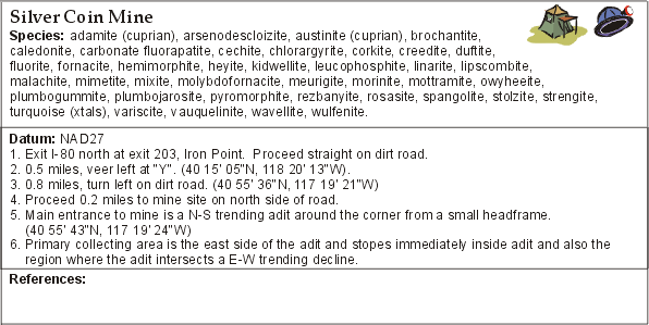 Silver Coin Mine