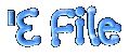 'E File