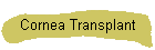 Cornea Transplant