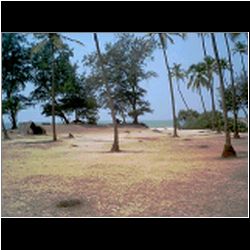 CamPic23.html