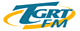 tgrtfm.gif (2090 bytes)