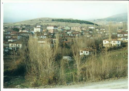 y-15.JPG (567667 bytes)