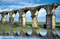 img 03