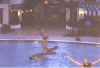 wymin pool2.jpg (57907 bytes)