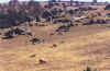 farm1.jpg (26083 bytes)