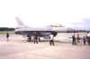 fightfalcon.jpg (24581 bytes)