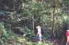 fraser1.jpg (106960 bytes)
