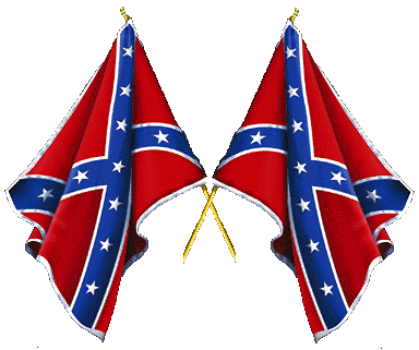 Rebel Flag