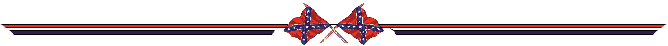 Rebel Flag