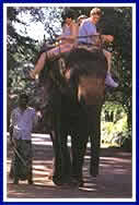 - Eco Tourism -