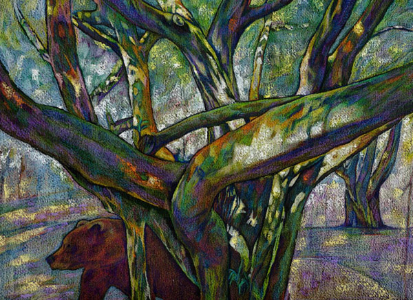 Bear In The Forest