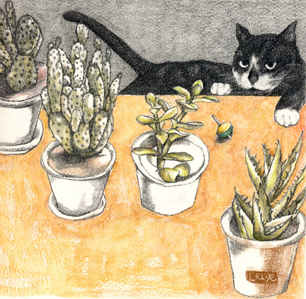 Gou & Cactus