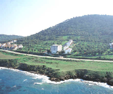 view