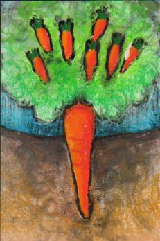 Carrot Tree Design Studio