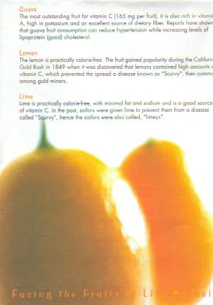 Publication Design