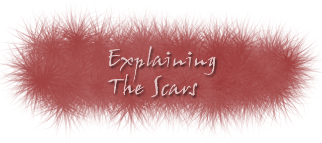Explaining the Scars