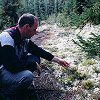 Lichen garden