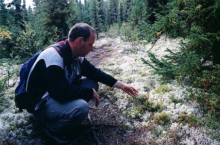 Sylvain studying the Lichen formations, Sept. 2nd 2001