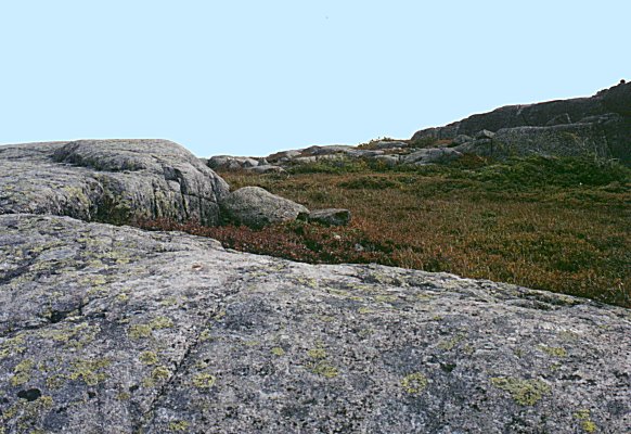 top of Mont du Lac des Cygnes, September 2001