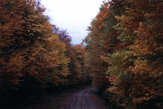 Mont Sainte-Anne, October 2000