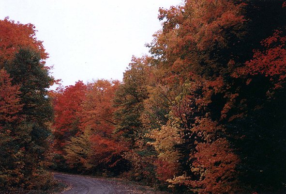 Mont Sainte-Anne, October 2000