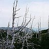 Mont du Lac des Cygnes