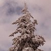 mont Sainte-Anne