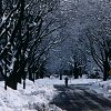 Town Mount-Royal