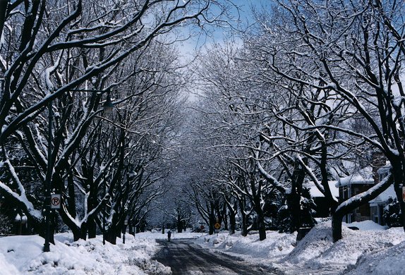 Town Mount-Royal under the snow, Beginning of 2001