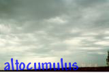 Altocumulus Clouds