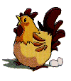 Cock
