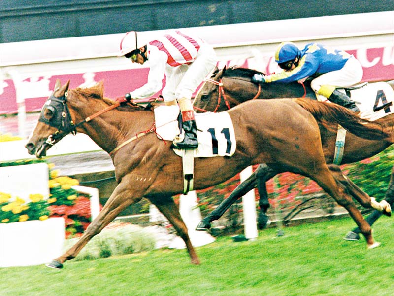 QuickRun Horse---�i��