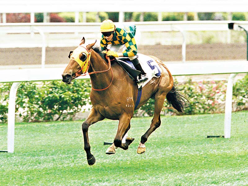 QuickRun Horse---�s�Ӵ�