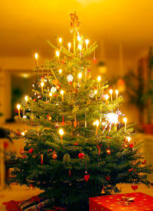 Awesome tree!