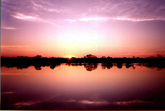 Tropical sunset