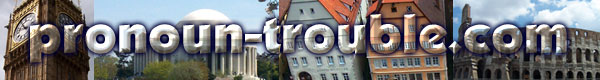 pronoun-trouble.com banner