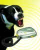 Dog-Off Kpek Uzaklatrc
