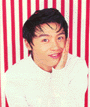 tstripe.gif (7494 bytes)