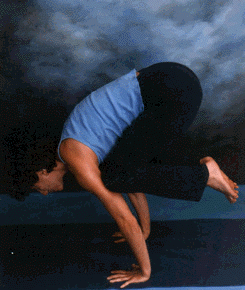 Asana: Crane Pose