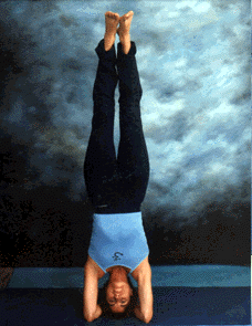 Asana: Headstand