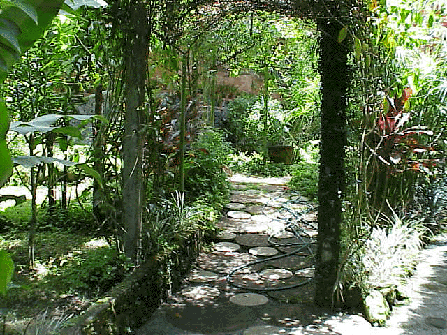 A Beautiful place in Banahaw 