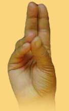 miracles of mudras