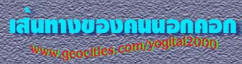 ¤͡͡